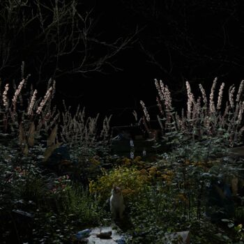 Photographie intitulée "Touline" par Nathan Ghali, Œuvre d'art originale, Aluminium