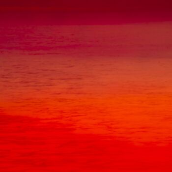 Photography titled "ABSTRACTION # 20 RO…" by Dominique Cahier, Original Artwork, Paper