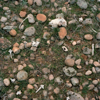 Photographie intitulée "Ossements" par Lucien Ayer, Œuvre d'art originale, Aluminium