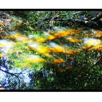 Digital Arts titled "Nénuphars & Poisson…" by Evelyne Chevallier, Original Artwork, Paper