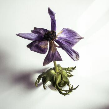 Photography titled "HD carré version re…" by Christophe Airaud, Original Artwork, Analog Print