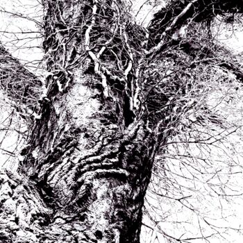 Photography titled "le géant " by Arthur  Baudon Vernet, Original Artwork, Wood