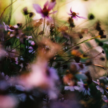 Photography titled "Vision fleurs I" by Julia Genet, Original Artwork, Analog photography