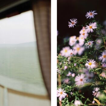 Photographie intitulée "Vision anémone tran…" par Julia Genet, Œuvre d'art originale, Photographie argentique