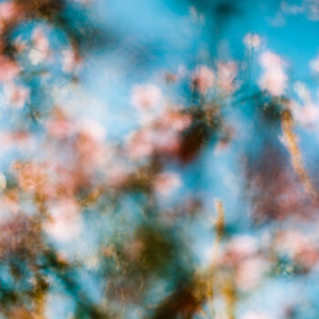 Photographie intitulée "Vision fleurs II" par Julia Genet, Œuvre d'art originale, Photographie argentique