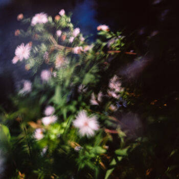 Photographie intitulée "Vision fleurs V" par Julia Genet, Œuvre d'art originale, Photographie argentique