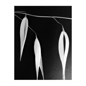 Printmaking titled "2 - ORGE - BARLEY" by Eric Gizard, Original Artwork, Analog Print