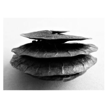 Printmaking titled "8 - ARCHITECTURE -…" by Eric Gizard, Original Artwork, Analog Print