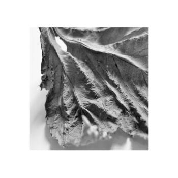 Photography titled "9 - VUE DU CIEL - A…" by Eric Gizard, Original Artwork, Analog Print
