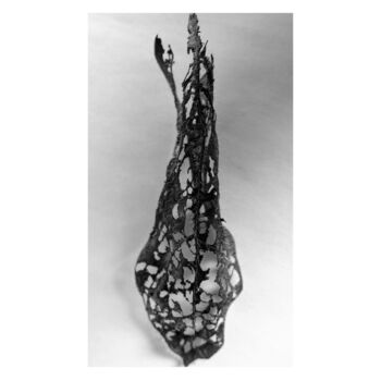 Printmaking titled "12 - POISSON FISH" by Eric Gizard, Original Artwork, Analog Print
