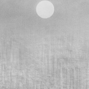 Photography titled "Harmony of Chaos, #…" by Renato D'Agostin, Original Artwork, Analog photography