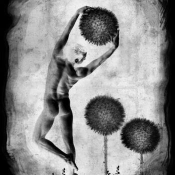 Photography titled "homme-fleur-pissenl…" by Daniel Nassoy, Original Artwork, Digital Print