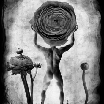 Photography titled "homme-fleur-renoncu…" by Daniel Nassoy, Original Artwork, Digital Print