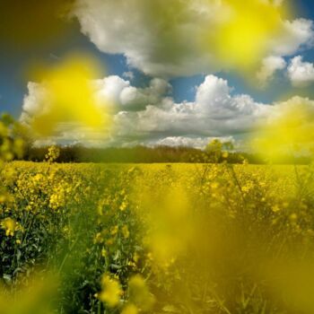 Photography titled "Eldorado" by Emmanuelle Benjamin, Original Artwork, Digital Photography Mounted on Plexiglass