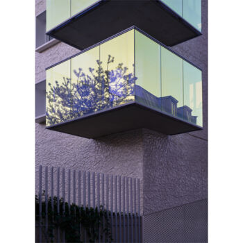 Photography titled "FRAMED-Cage dorée" by Olivier Cuvelette, Original Artwork, Digital Print