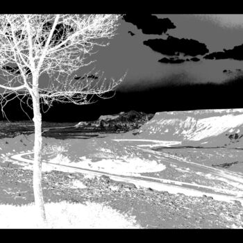 Digital Arts titled "Mon Arbre, Série 6,…" by Danielle Aspis, Original Artwork, Digital Print