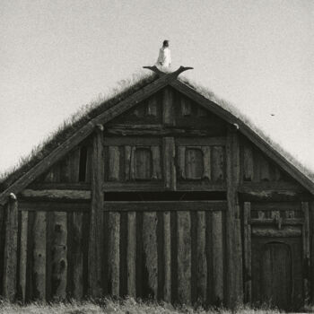 Photography titled "Sur le faîte, "Trés…" by Estelle Lagarde, Original Artwork, Analog photography