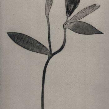 Photographie intitulée "EMPREINTE#14" par Camille  Vignaud, Œuvre d'art originale, Papier