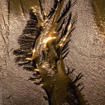 Photographie intitulée "REINE DE SABAH" par Francis Grosjean, Œuvre d'art originale, Aluminium