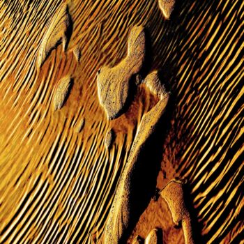 Photographie intitulée "PENSEUR PÉLERIN" par Francis Grosjean, Œuvre d'art originale, Aluminium
