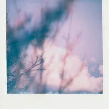 Photographie intitulée "L'air de rien" par Emmanuelle Benjamin, Œuvre d'art originale, Photographie argentique Monté sur Aut…