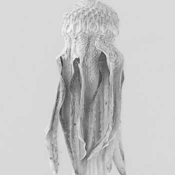 Photography titled "PIEUVRE BURKA. BURK…" by Eric Gizard, Original Artwork, Paper