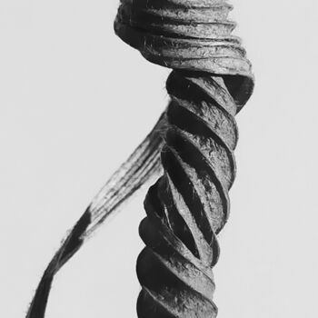 Photography titled "VIS. SCREW" by Eric Gizard, Original Artwork, Paper