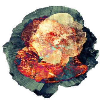 Digital Arts titled "Murmure de géant #01" by Corinne Bresson, Original Artwork, Digital Print