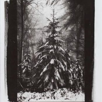 Photography titled "Sapin dans la neige…" by Marie-Jeanne  Caprasse, Original Artwork, Paper