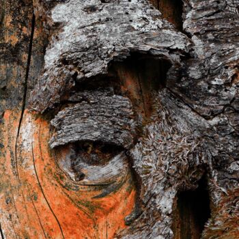 Photography titled "ELEPHANT EYE" by Francis Grosjean, Original Artwork, Aluminium