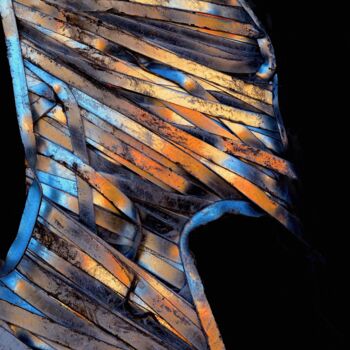 Photography titled "RAMURES FECONDES " by Francis Grosjean, Original Artwork, Aluminium