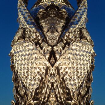 Photography titled "SETHI" by Francis Grosjean, Original Artwork, Aluminium