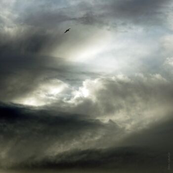 Photographie intitulée "A ciel ouvert 50  " par Daniel Gautier, Œuvre d'art originale, Aluminium