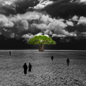 Photography titled "Refuge" by Adam Akner, Original Artwork, Aluminium