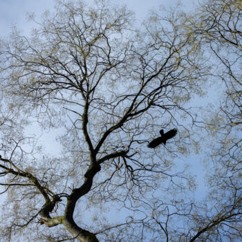 Photography titled "Jikan" by Claire Curt, Original Artwork, Digital Print