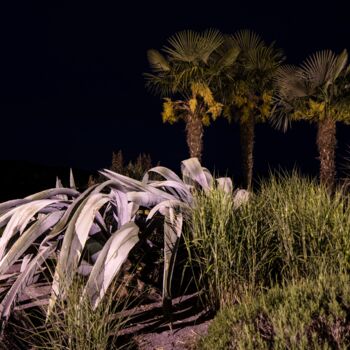 Photographie intitulée "TdPyrénées - 6" par Xavier Dumoulin, Œuvre d'art originale, Papier