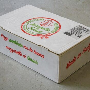 Sculpture titled "Mozarella di Seriate" by Luca Resta, Original Artwork, Metals