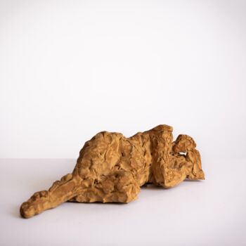 Sculpture intitulée "en revant" par Dominique Ganiage, Œuvre d'art originale, Argile