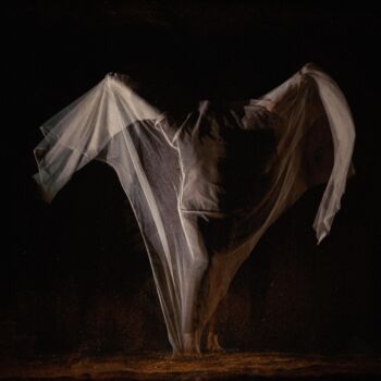 Photography titled "18-02-009" by Laurent Paillier, Original Artwork, Digital Print