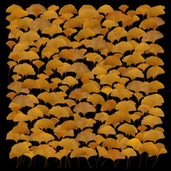 Arts numériques intitulée "crea-feuilles-10-gi…" par Daniel Nassoy, Œuvre d'art originale, Impression numérique
