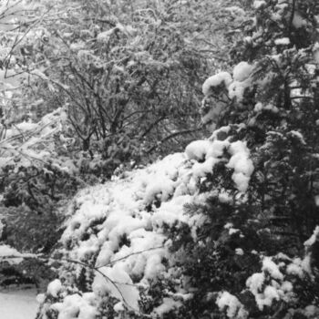Photography titled "neige à Versailles…" by Peg, Original Artwork, Paper