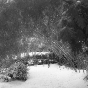 Photography titled "neige à Versailles…" by Peg, Original Artwork, Paper