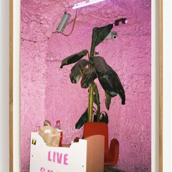 Φωτογραφία με τίτλο "Nature Morte with b…" από Viktor Shekularatz, Αυθεντικά έργα τέχνης, Αναλογική εκτύπωση