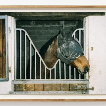 Photography titled "Introversion is a s…" by Viktor Shekularatz, Original Artwork, Analog Print