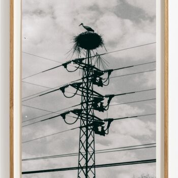 Drawing titled "Philosophical skept…" by Viktor Shekularatz, Original Artwork, Paper