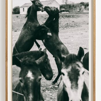 Fotografia intitolato "Unnatural or interr…" da Viktor Shekularatz, Opera d'arte originale, Carta