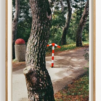 Photography titled "Law of least action" by Viktor Shekularatz, Original Artwork, Paper
