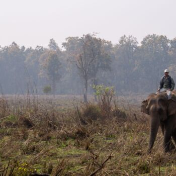Photography titled ""Chitwan"" by Guilhem Nascimben, Original Artwork, Digital Photography