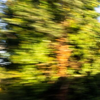 Photography titled "###14" by Adélie Perrin, Original Artwork, Paper
