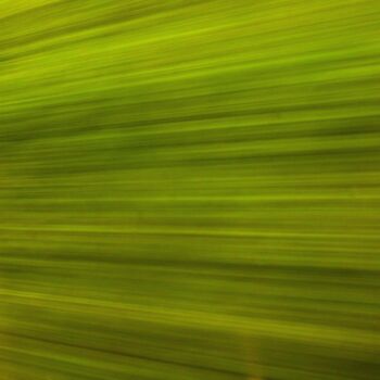 Photography titled "###15" by Adélie Perrin, Original Artwork, Paper